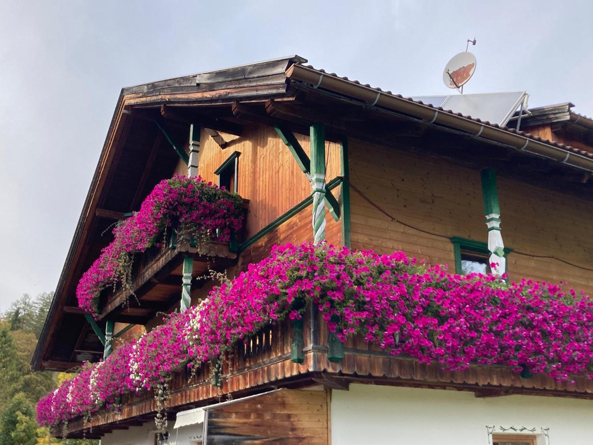 Oefnerhof Appartement Leutasch Buitenkant foto